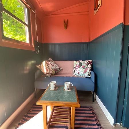 The Hares Hut At Carrigeen Glamping Kilkenny Kültér fotó