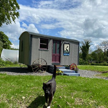 The Hares Hut At Carrigeen Glamping Kilkenny Kültér fotó