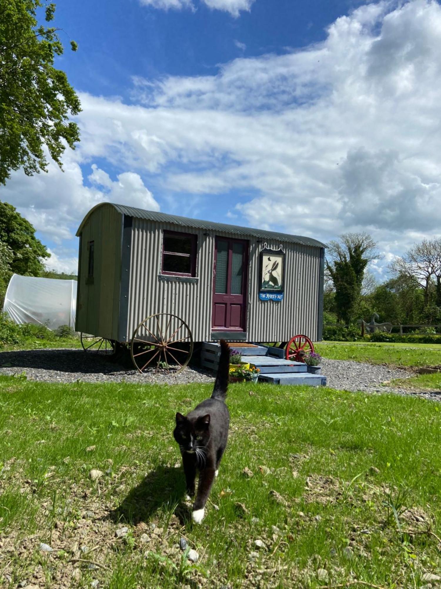 The Hares Hut At Carrigeen Glamping Kilkenny Kültér fotó